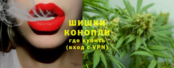 тгк Новодвинск