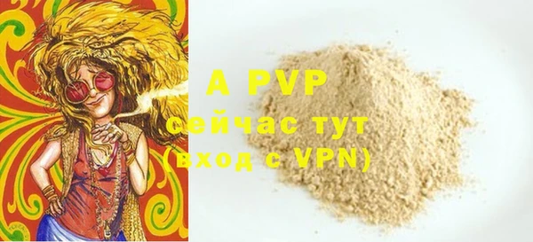 тгк Новодвинск
