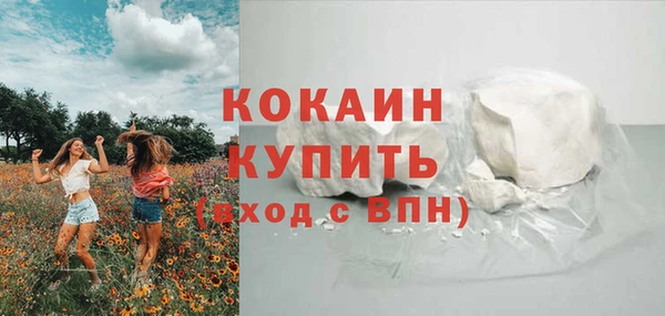 тгк Новодвинск