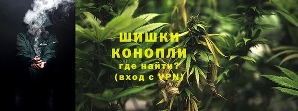 тгк Новодвинск