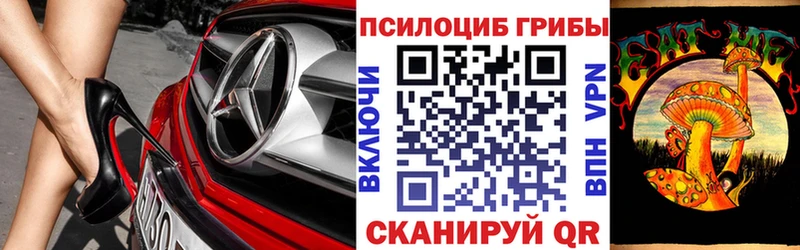 mega ONION  как найти закладки  Калининец  Псилоцибиновые грибы Psilocybine cubensis 